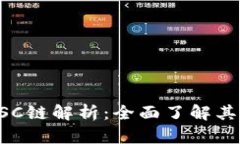 TP钱包的BSC链解析：全面了解其功能与应用